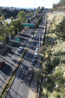 Domingos de caminata en Zona Esmeralda