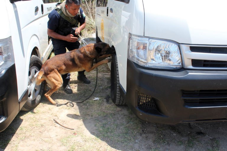 Sayavedra referente de seguridad a nivel nacional